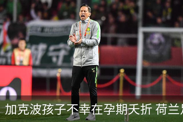 加克波孩子不幸在孕期夭折 荷兰足协：球员愿留队征战